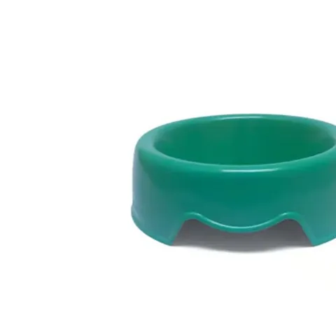 Comedouro Para Animais de Estimação 740ml Cor Verde